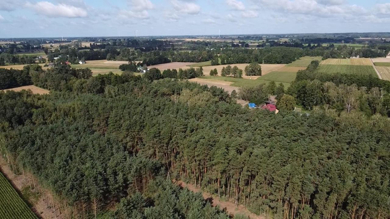 Maciejowka Gospodarstwo Agroturystyczne Poddebice Exterior foto