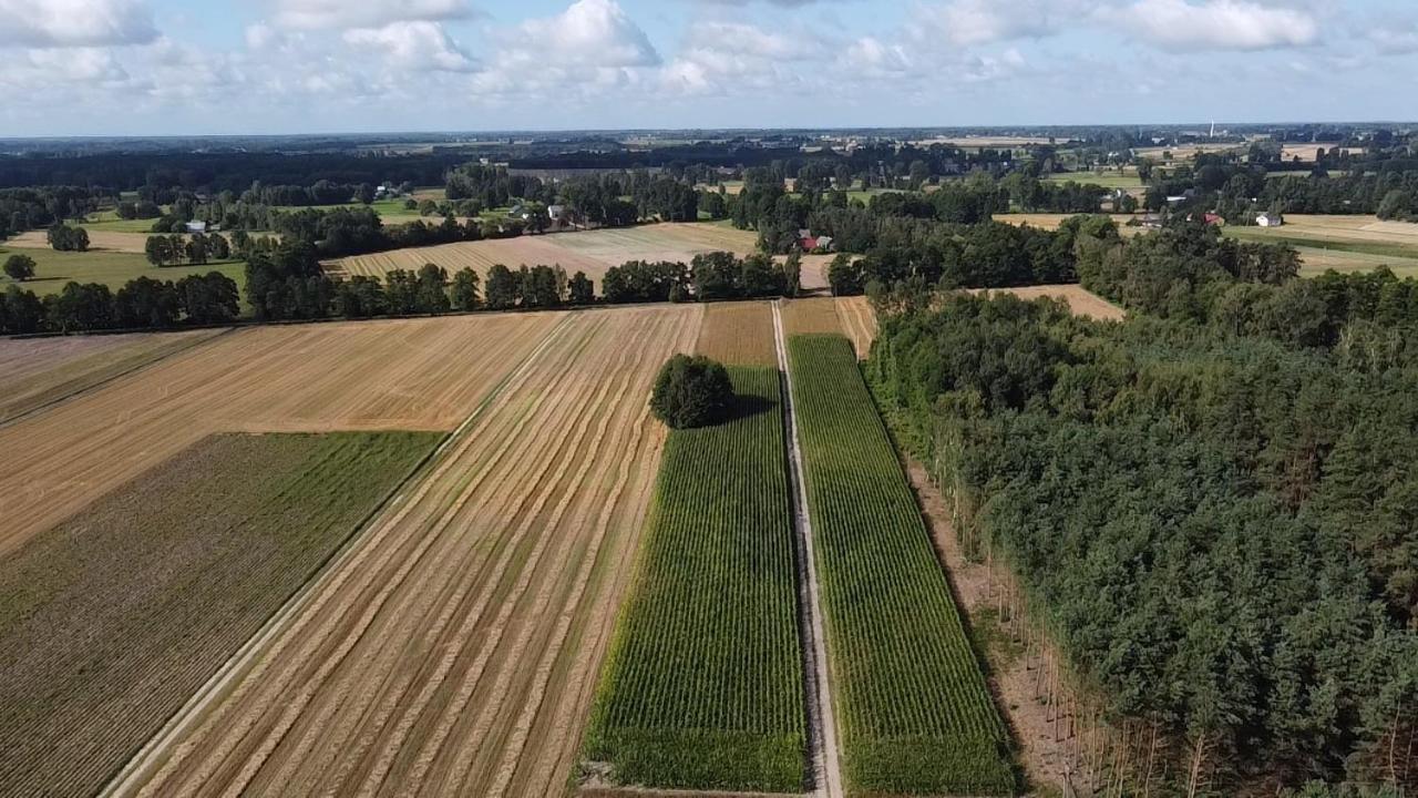 Maciejowka Gospodarstwo Agroturystyczne Poddebice Exterior foto